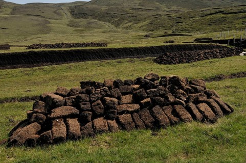 Peat