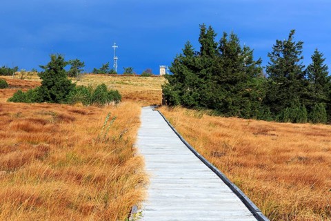 Black Forest National Park