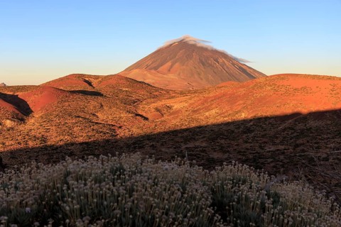 Tenerife