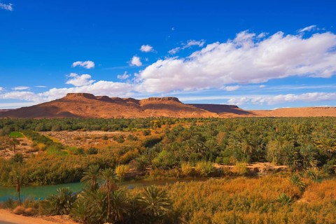 Tafilalet Oasis