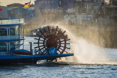 Paddle steamer Lousiana European Starling