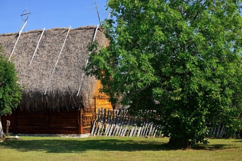 Bunge Museum