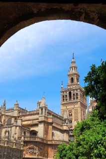 Cathedral and Giralda Tower