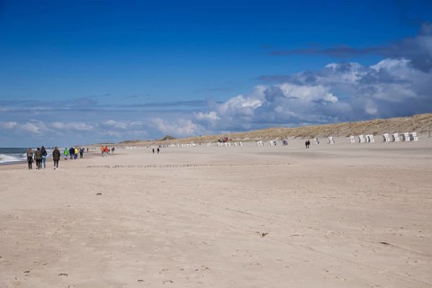 Sandy beach beach at the Hoernumer Odde