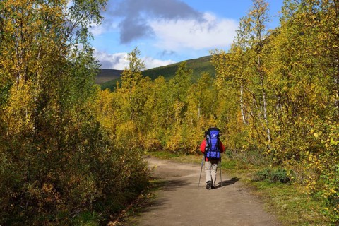 Trekking Nikkaluokta