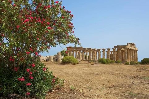 Temple E