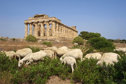 Temple E