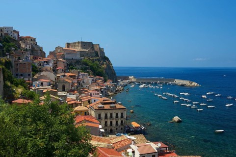 Scilla