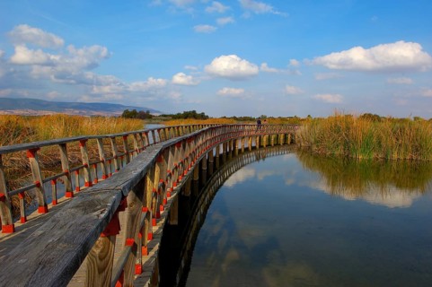 Daimiel