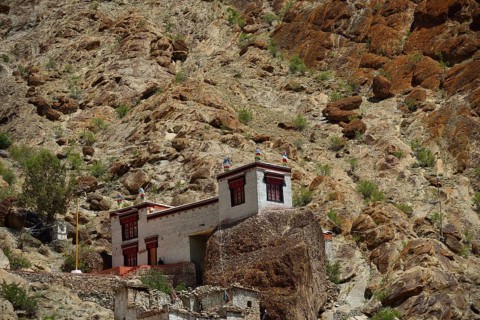 Hemis Festival