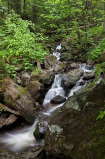 Mountain stream Hoellbach