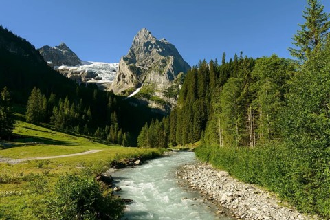 Wellhorn