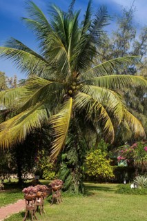 Garden of the Hotel Ninh Chu Resort