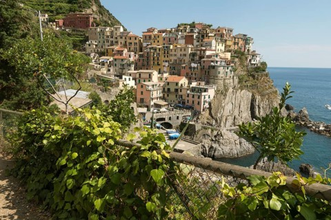 Manarola