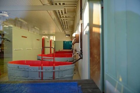 Bathhouse