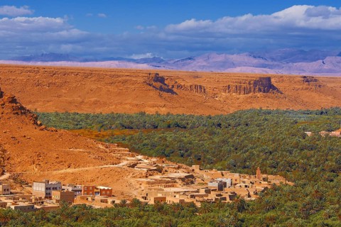 Tafilalet Oasis