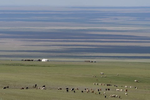 Camp in the Gobi