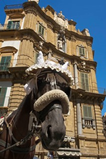 Horse-drawn carriage in Palermo