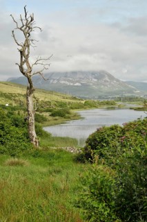 View of Mount Errigal from Gweedore