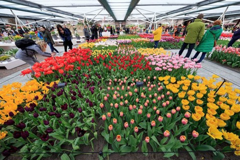 Holland