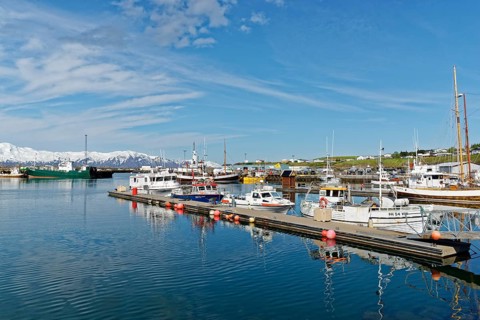 Fishing boats in the harbour of Husavik