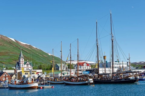 Old fishing boats are used for whale-watching