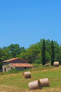 Fields with straw bales near Sault