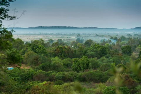 Bush landscape with morning fog near Bekopaka at Manambolo