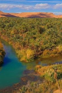 Tafilalet Oasis