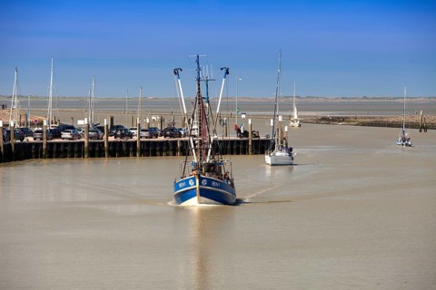 Crab cutter in the harbour