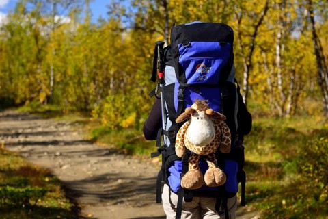 Trekking Nikkaluokta