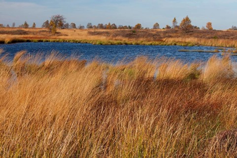 Autumn In the Platten Venn