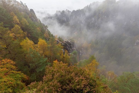 Pavilion view in the Bastei area