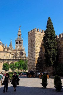 Cathedral and Giralda Tower