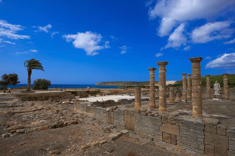 Bolonia