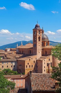 Urbino