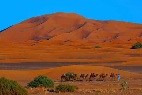 Merzouga