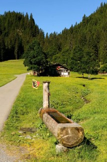 Alpine hut