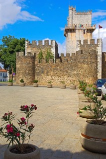 Beja
