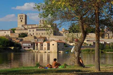 Zamora