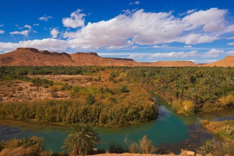 Tafilalet Oasis