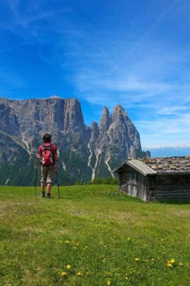 Alpine pasture on the Alpe di Siusi with Sciliar