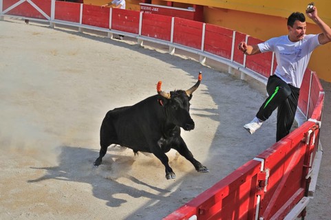Bullfight