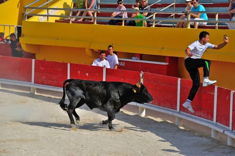 Bullfight