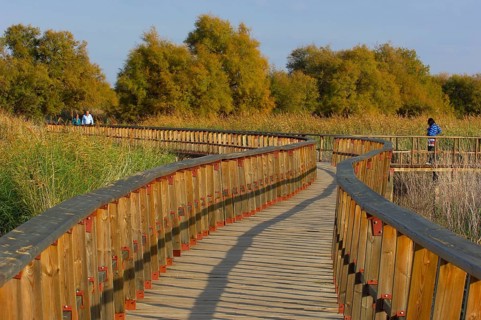 Daimiel