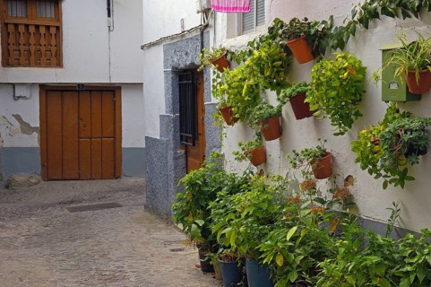 Hervas