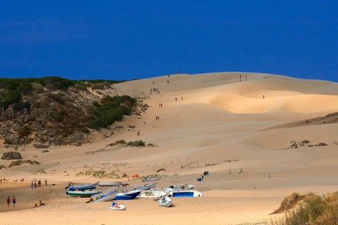 Bolonia