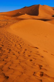 The Great Merzouga Dune