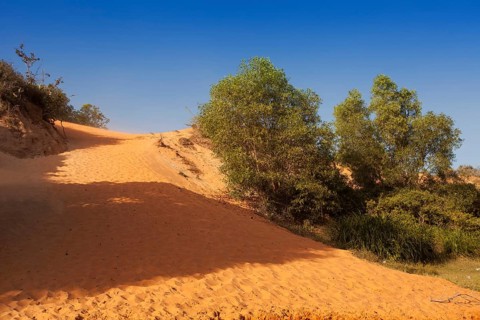 Red sandstone formations