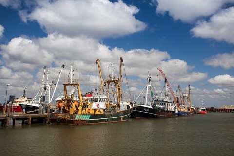 Fishing vessels in the fishing harbour of Roemoe